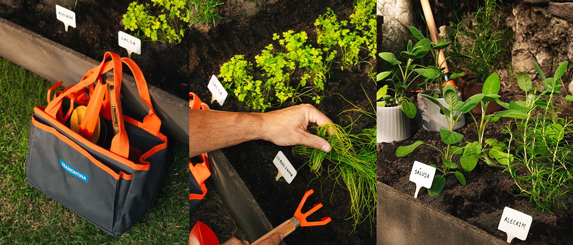 Como fazer uma horta em casa: guia simples para começar